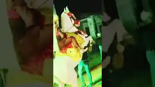bhai sadhi samil video. Brother sadhi attend.