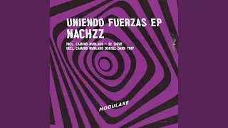 SEGUIMOS (Original Mix)