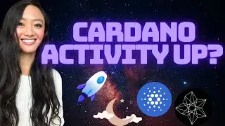 Объём торгов Cardano резко вырос с момента запуска $NIGHT!