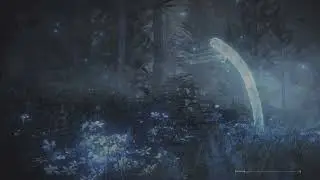 Multiplayer Item: Furlcalling Finger Remedy, Main Academy Gate | Elden Ring (PS5)