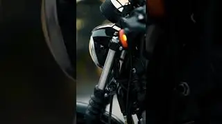 Summer Harley Vibes