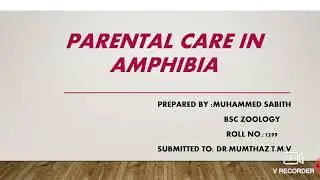 Parental Care In Amphibians