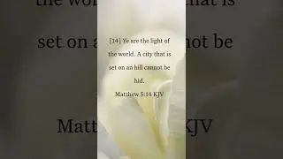 BIBLE AUDIO MATTHEW 5:14 || God's Word - Bible Stories #Shorts