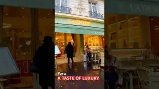 🇫🇷Ladur&eacute;e Paris: A Taste of Luxury in Every Bite 🫡 #shortfeeds  #shortvideo #laduree #paris #food