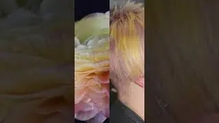 Aveda Vegan Color
