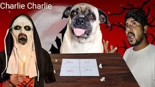 CharlieI Charlie Ghost Game at 3 Am | Horror Video | Mitha Pets Vlog
