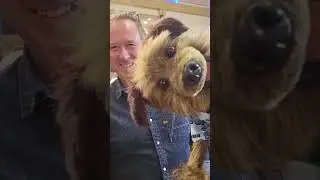 When we met national treasure Hacker T Dog #hackertdog #hackerthedog #cbbc #bluepeter