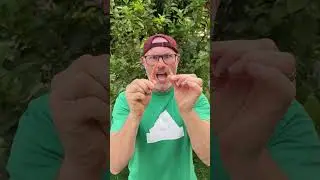 Воздуходувка с неоновыми светящимися палочками 🤯