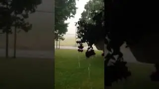 Summer deluge