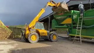 Des betteraves fourragères sans terre et sans pierres