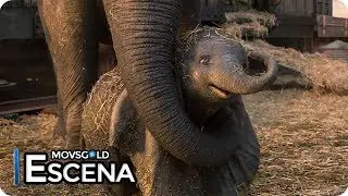 Dumbo (2019) El Nacimiento de Dumbo (Espa&ntilde;ol Latino)