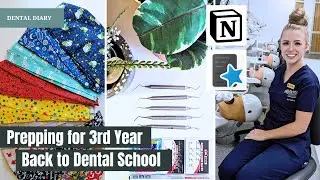 PREPPING FOR BACK TO 3RD YEAR (DENTAL) SCHOOL: Notion, Anki, lectures, etc (vlog) | Episode 5