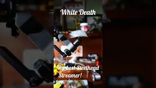 Fly tying | 60 second tie | White Death pattern.  #reels #flytying #shorts