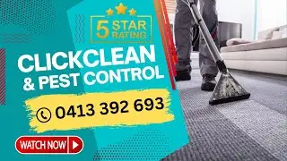 ClickClean Pest Control Review | ClickClean & Pest Control 0413 392 693