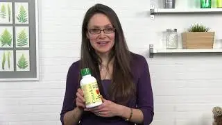 ChildLife Liquid Calcium
