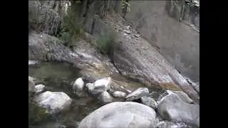 trote spinning torrente dolo