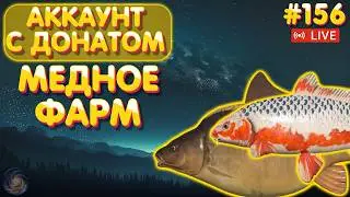 Медное - фарм 🔥 Аккаунт с донатом #156 стрим 🔥 ПРЕМ и ЗОЛОТО в боксе Trovo 🔥 Русская Рыбалка 4
