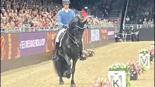 The Flying Friesian from London - Elias 494