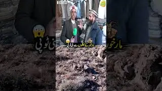 Cap Made From Markhor Horns | Discover Pakistan shorts