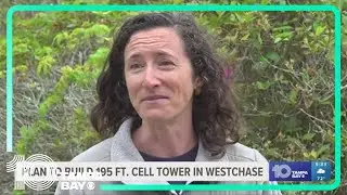 Neighbors push back on plans to build 195-foot cell tower in Westchase