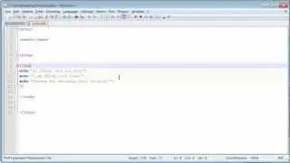 PHP Syntax Basics