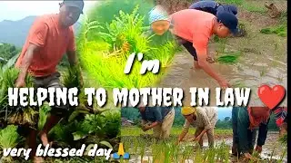 Helping to mother in law/interesting field 🤪👋