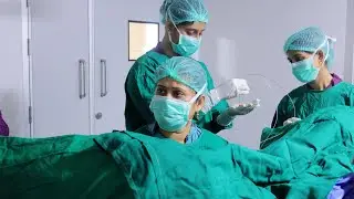 Egg Collection in IVF Treatment | Step-by-Step