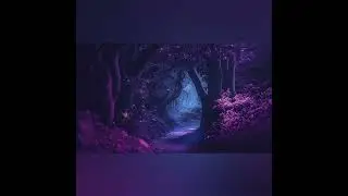“Camminavo nel bosco quando la magia apparve davanti ai miei occhi...Le Fate