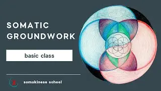 Somatic Groundwork basic class