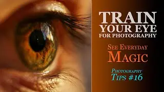 Train Your Eye for Photography: Photography Tips