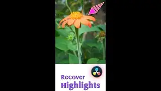 Highlight recovery in DaVinci Resolve. #shorts #tutorial