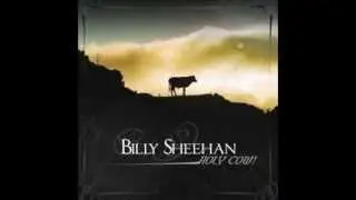 Swimming Underwater | Billy Sheehan | Holy Cow!