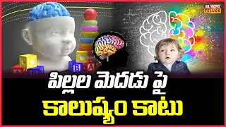 పిల్లల మెదడుపై కాలుష్యం కాటు-Air Pollution Effect On Child Brain Development | View Point |Raj News
