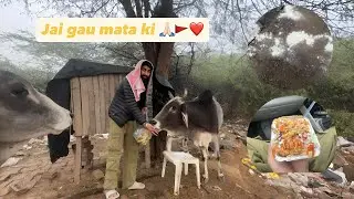 Jai gau mata ki 🙏🏻🚩❤️@RKVLOGS-c7c #rahulkarhanavlogs #gaumata #bajrangdal 