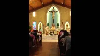 Eucharist Miracle with  Padre Martin  Scott Watch what happens!