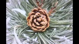 Frozen Fog 2 HD 1080p