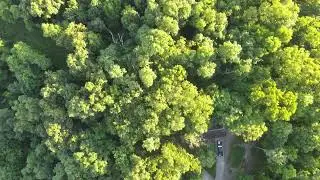 19 Acres Ohio County Indiana Wooded Oasis