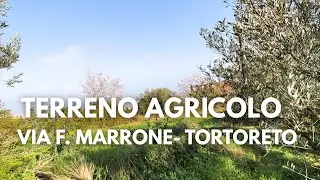 Terreno agricolo -  via Fosso Marrone - Tortoreto