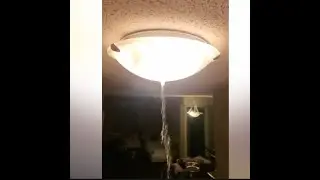 Sprinkler forces evacuation of southeast Calgary apartment building