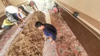 KAVRAK URUQ EKSAK BIZGA NMA FOYDA