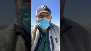 Bird Control In Vent 973 830 7729