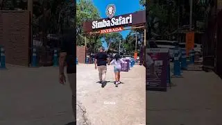 Simba Safari SP