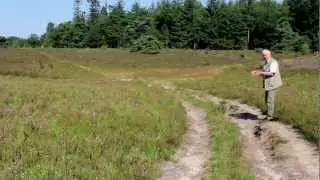 Pingoruïne Ees - Hondsrug - Drenthe