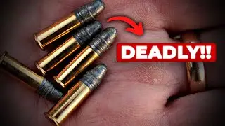 Why the .22LR Might Be the Deadliest Bullet You Own