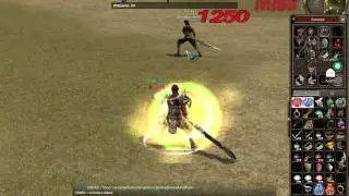 HH Send attack Metin2 Oblivion