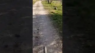 fields cycling.