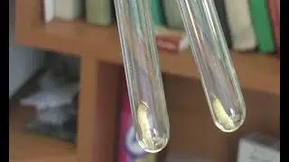 Россельхознадзор и сосновая нематода