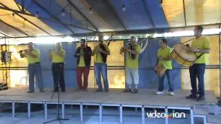 A GAITA DE SARANDÓN - Foliada Solidaria, Vedra 2013 (actuación2)