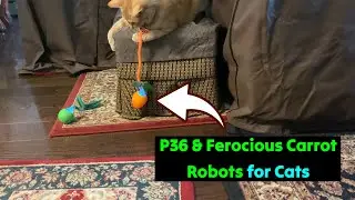 Giociv Ferocious Carrot & P36 Robotic Cat Toys 🐈  Gadgetify