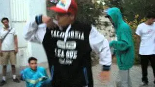 P1010250